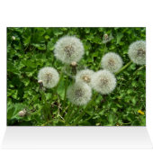 Wonderful day card (Inside Horizontal (Top))