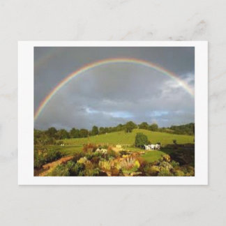 Wonderful Day Postcard