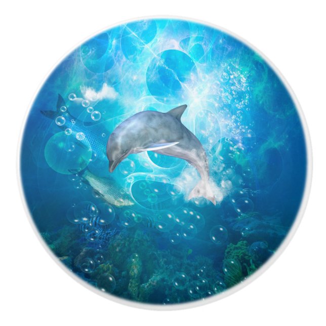 Wonderful dolphin ceramic knob (Front)