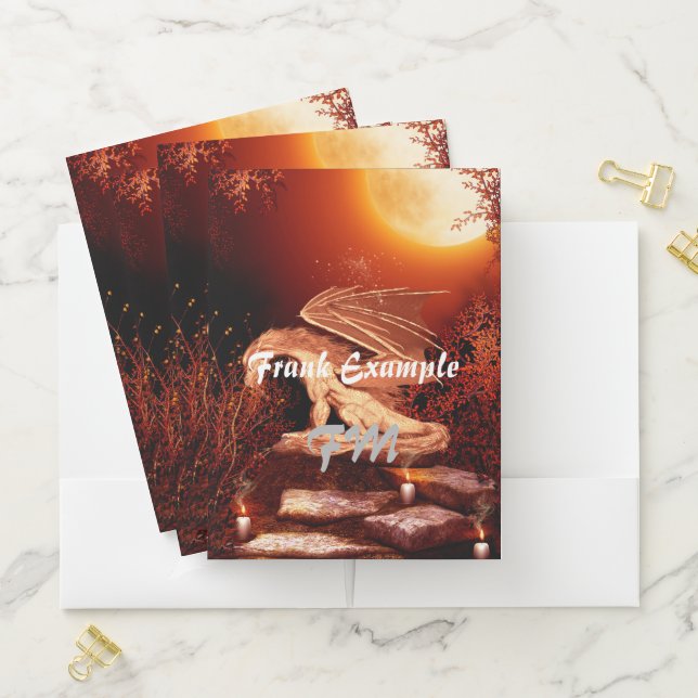 Wonderful dragon pocket folder (In Situ)