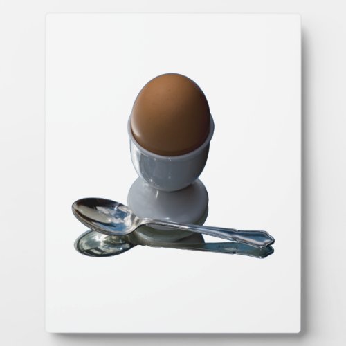 Wonderful Eggs Plaque