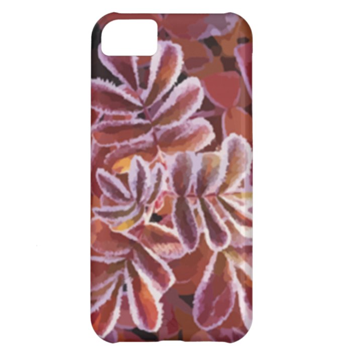 Wonderful Gifts iPhone 5C Case