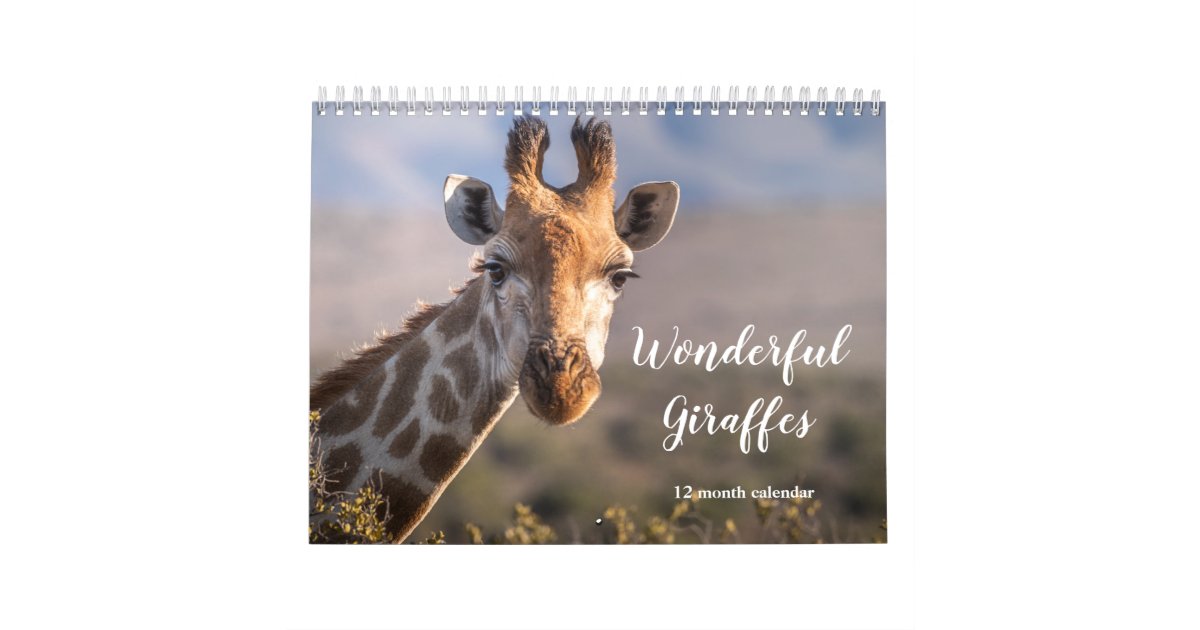 Wonderful Giraffes 2023 Calendar Zazzle