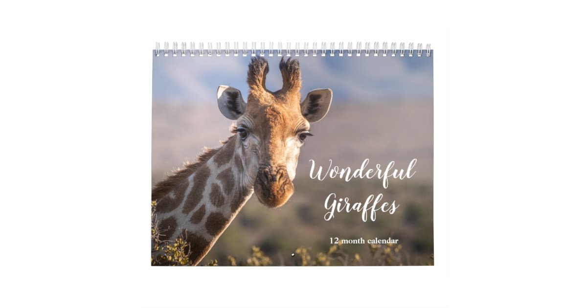 Wonderful Giraffes 2024 Calendar Zazzle