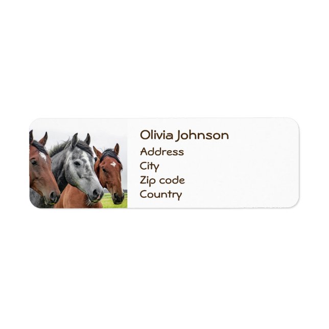 Wonderful Horses Stallion Photography Label (Front)