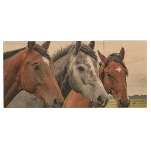 Wonderful Horses Stallion Photography Wood Flash Drive