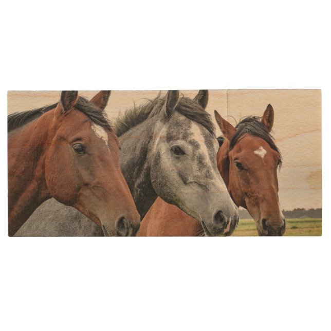 Wonderful Horses Stallion Photography Wood Flash Drive (Front)