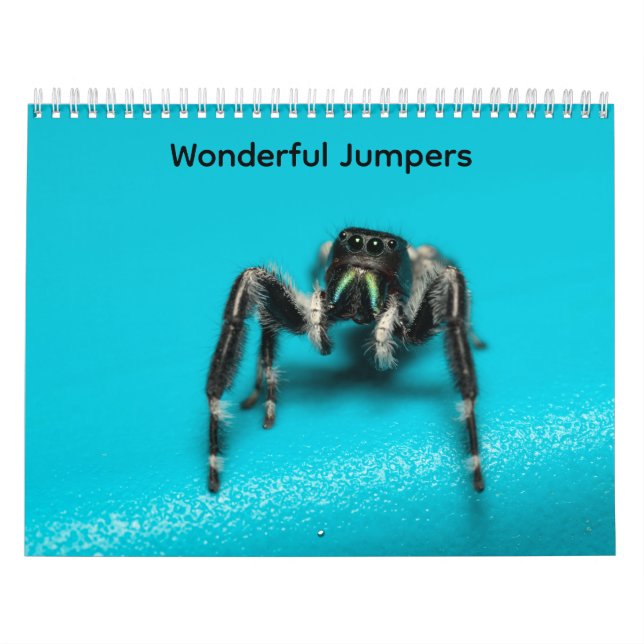 Wonderful Jumpers Calendar (Cover)