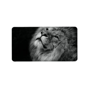 Wonderful Lion Label