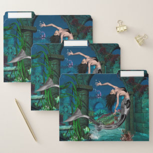 Wonderful mermaid with fantasy fish file folder