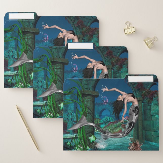 Wonderful mermaid with fantasy fish file folder (Set)