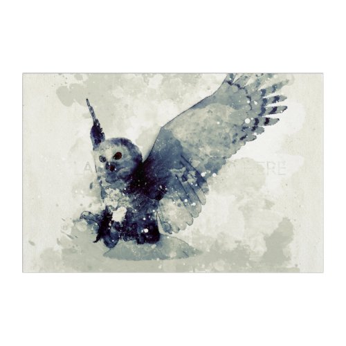 Wonderful owl in watercolor acrylic print