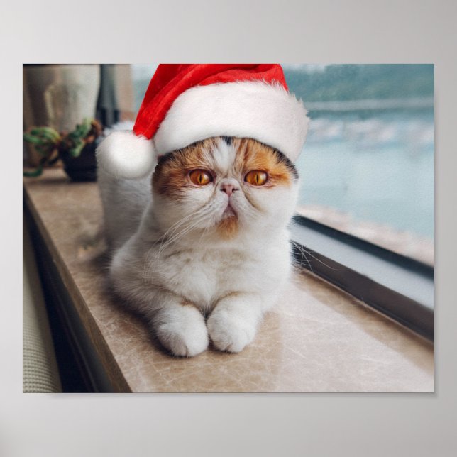 Wonderful persian cat with Santa Claus hat Poster (Front)