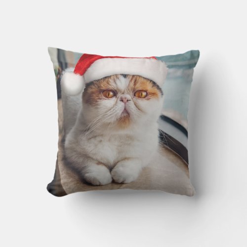 Wonderful persian cat with Santa Claus hat Throw Pillow