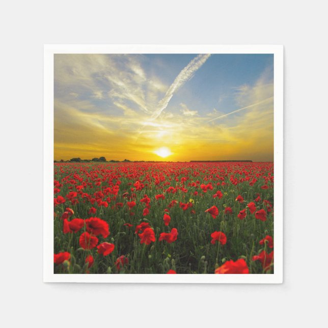 Wonderful Poppy Field Sunset Horizon Napkins (Front)