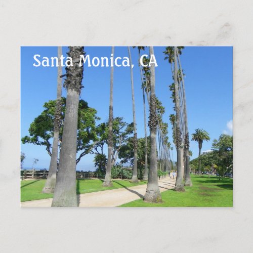 Wonderful Santa Monica Postcard Postcard