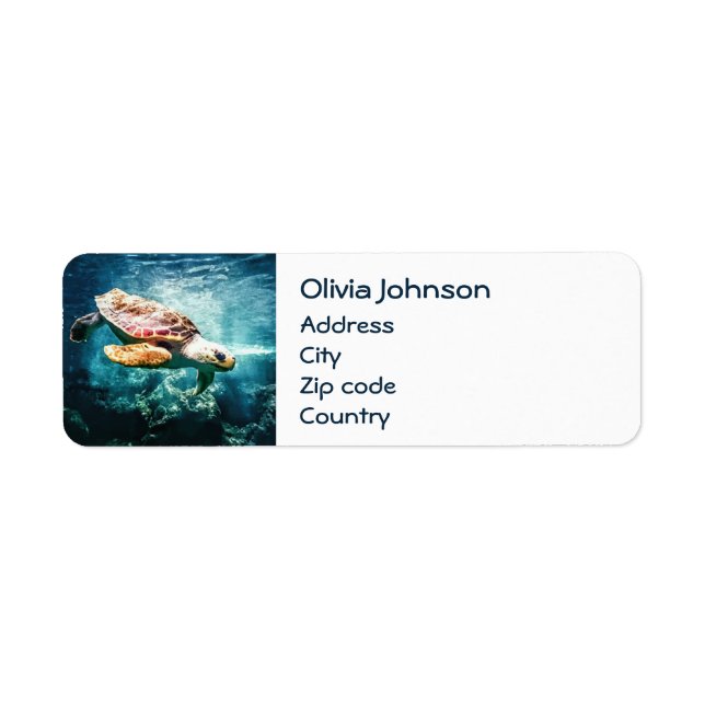 Wonderful  Sea Turtle Ocean Life Turquoise Sea Label (Front)