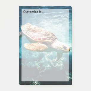 Wonderful Sea Turtle Ocean Life Turquoise Sea Post-it Notes