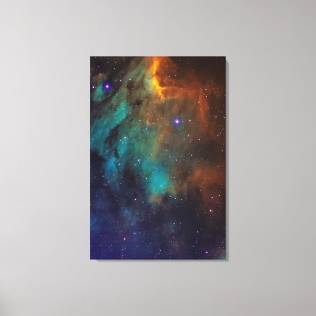 Wonderful Space Canvas Print (Front)