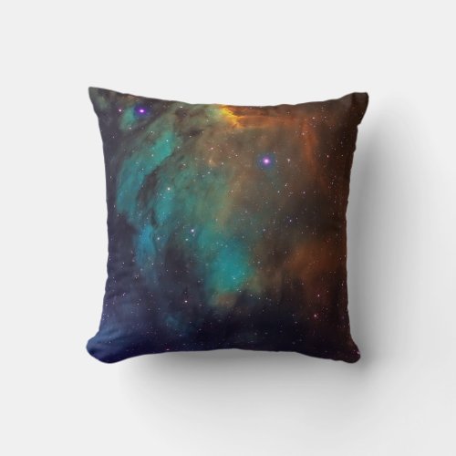 Wonderful Space Throw Pillow