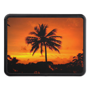 Wonderful Sunset Tow Hitch Cover
