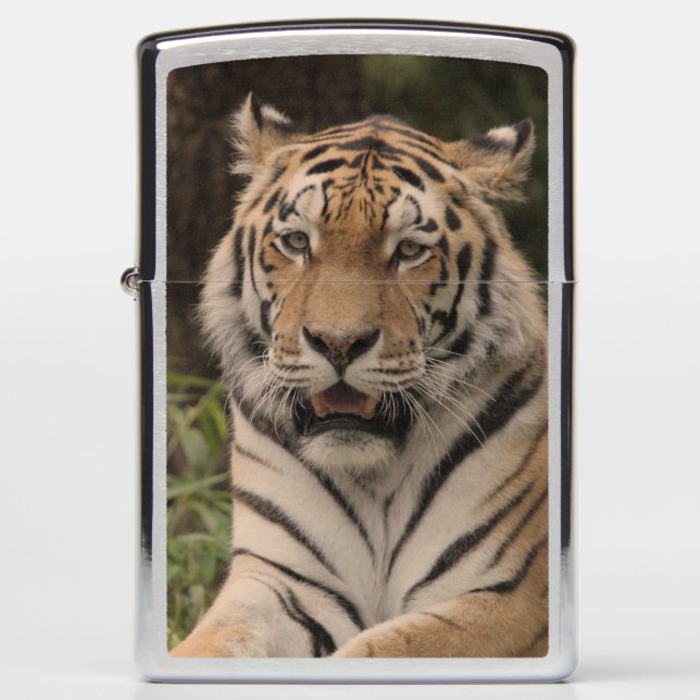 Wonderful Tiger Zippo Lighter (Front)