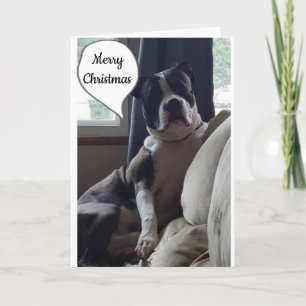 WONDERFUL TIME OF THE YEAR **MERRY CHRISTMAS" HOLIDAY CARD