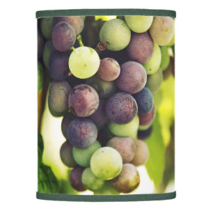 Wonderful Vine Grapes, Autumn Fall Sun Lamp Shade