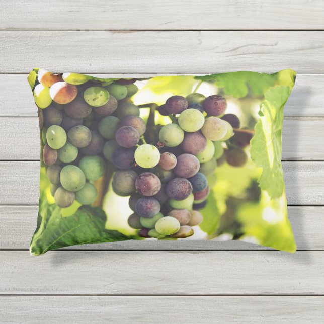Wonderful Vine Grapes,  Autumn Fall Sun Outdoor Pillow (Front)