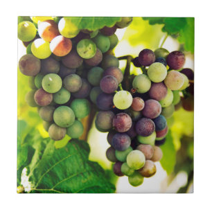 Wonderful Vine Grapes, Nature, Autumn Fall Sun Ceramic Tile