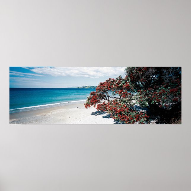 Wonderful Waiheke - Onetangi Beach Poster (Front)