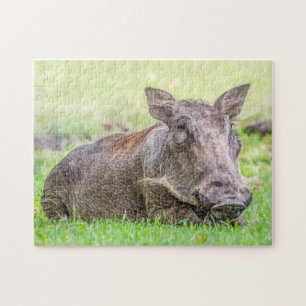 Wonderful Warthog Puzzle