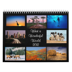 Wonderful World  2012 Calendar