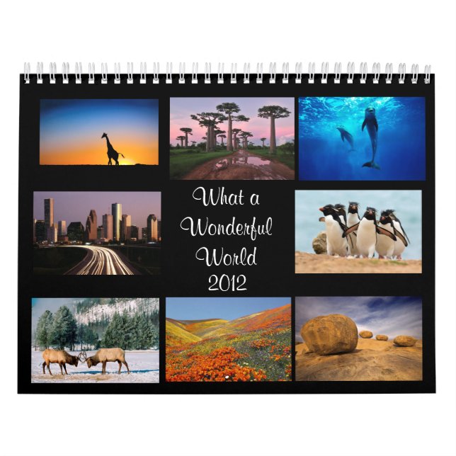 Wonderful World  2012 Calendar (Cover)
