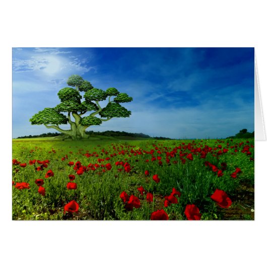 Wonderful World Cards (Front Horizontal)