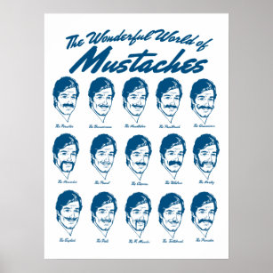 Wonderful World of Mustaches Poster