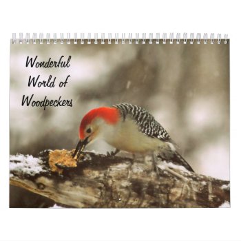 Wonderful World Of Woodpeckers Two Page Calendar by Vanillaextinctions at Zazzle