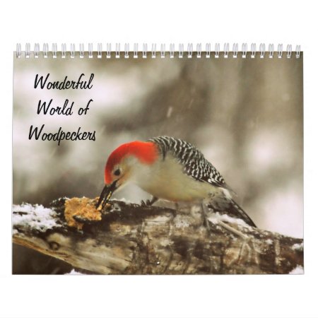 Wonderful World Of Woodpeckers Two Page Calendar