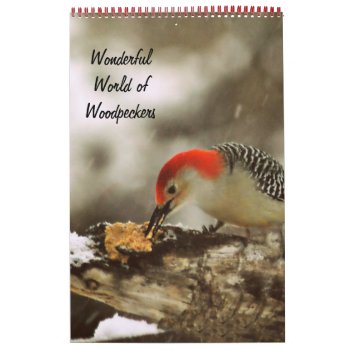 Wonderful World Of Woodpeckers Two Page Calendar by Vanillaextinctions at Zazzle