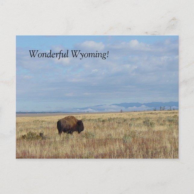 Wonderful Wyoming! Postcard (Front)