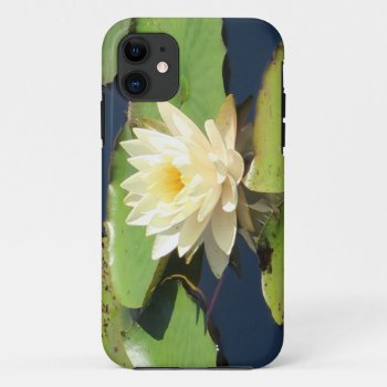 Wonderful Yellow Water Lily  Iphone 11 Case by MehrFarbeImLeben at Zazzle