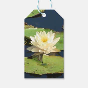 Wonderful Yellow Water Lily  Gift Tags by MehrFarbeImLeben at Zazzle