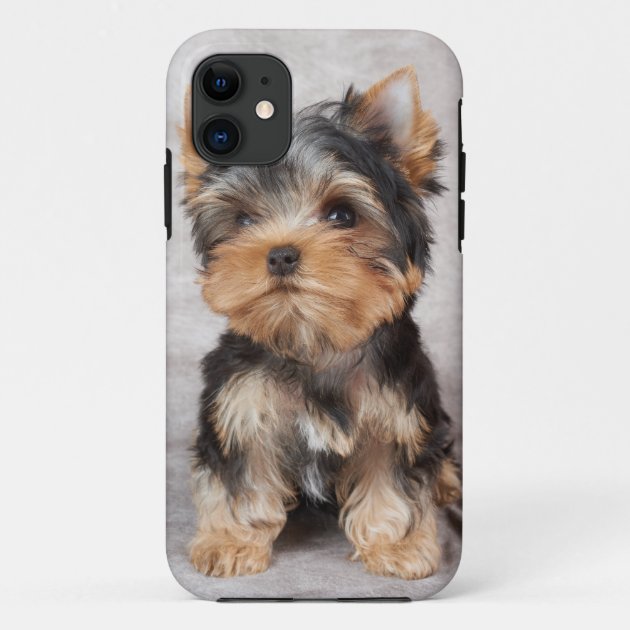 Wonderful yorkie Case Mate iPhone case Zazzle