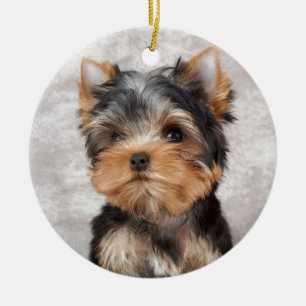 Wonderful yorkie ceramic ornament