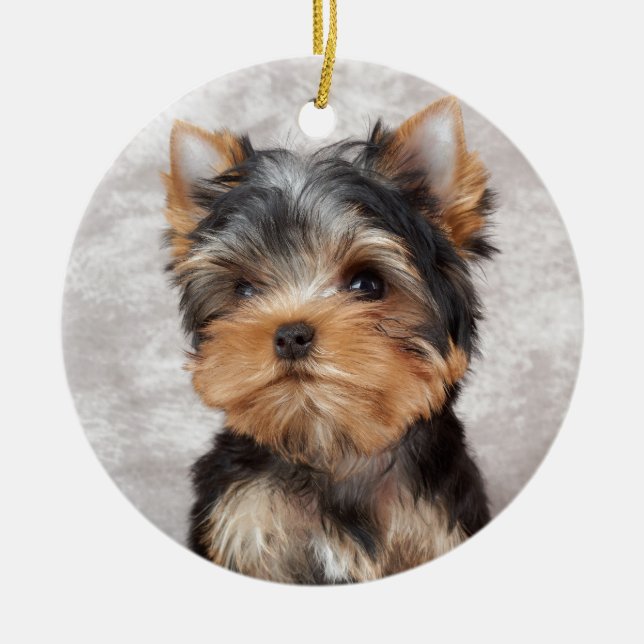 Wonderful yorkie ceramic ornament (Front)