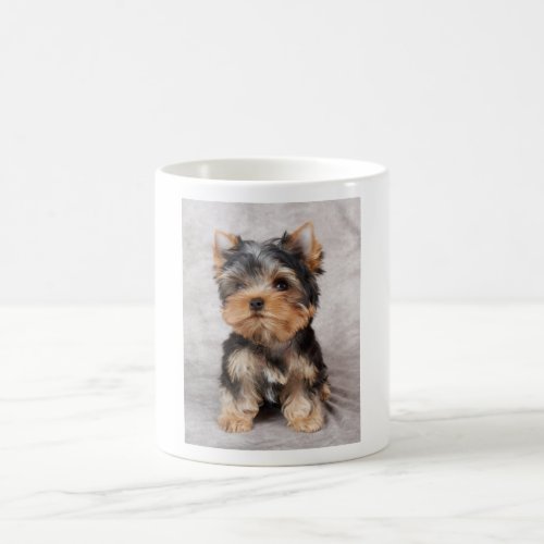 Wonderful yorkie coffee mug