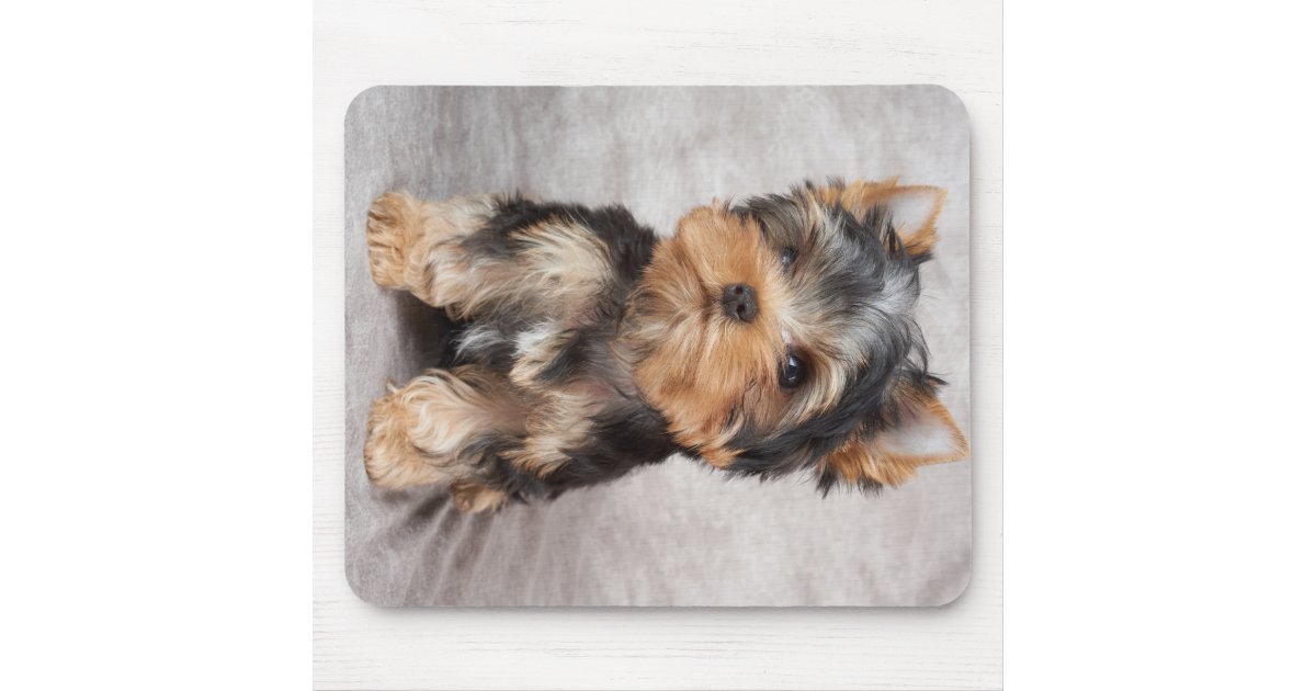 Wonderful yorkie mouse pad Zazzle
