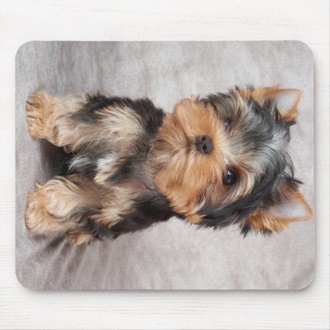 Wonderful yorkie mouse pad (Front)