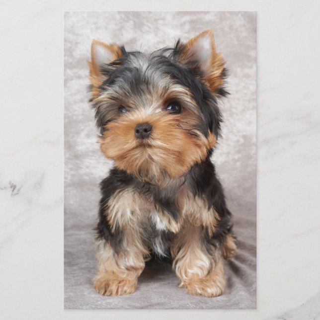Wonderful yorkie stationery (Front)
