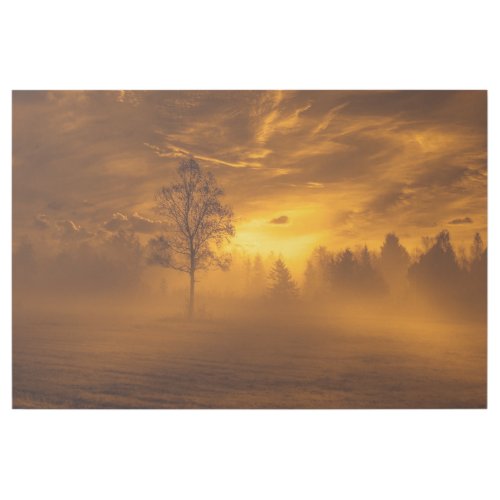 wonderfully nature in amazing morning mood gallery wrap